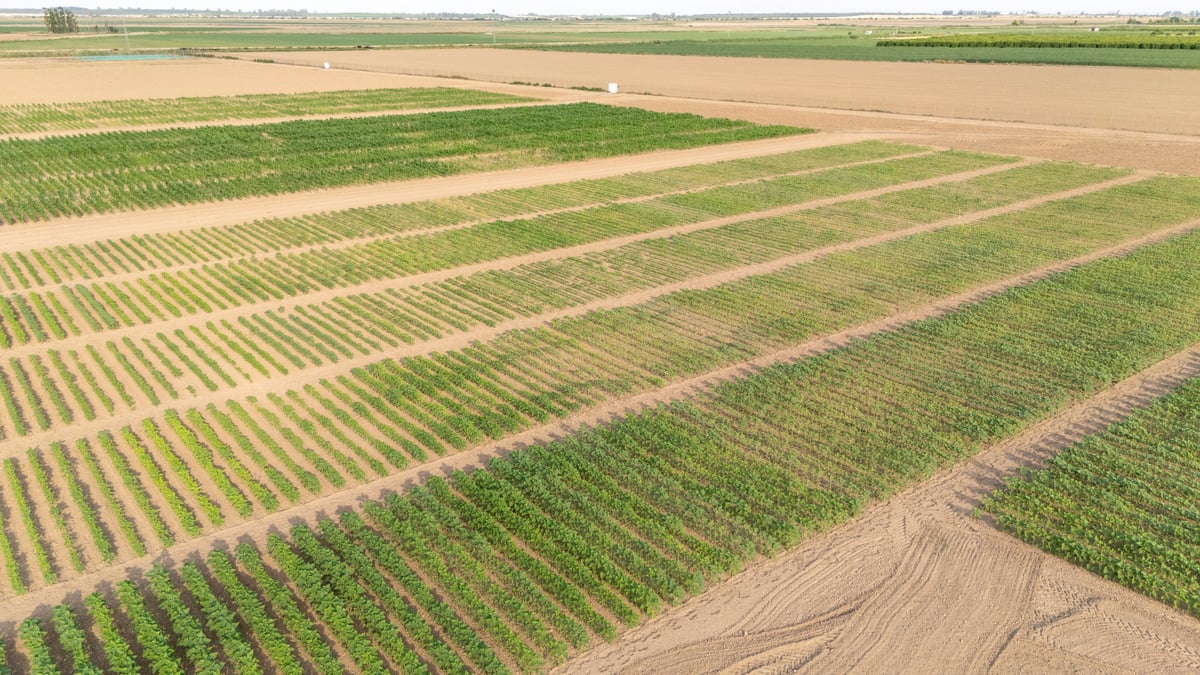 Aerial view showing diverse experimental crop plots on a modern agricultural research farm.