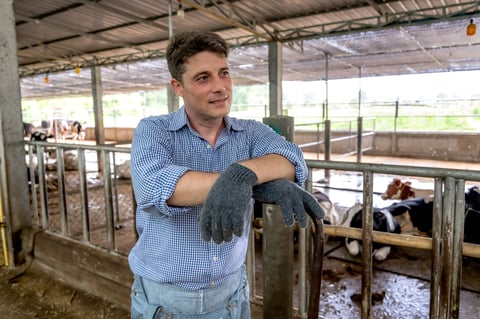 Handsome American male cowboy resting after working hard on dairy cattle farm, standing in rustic barn