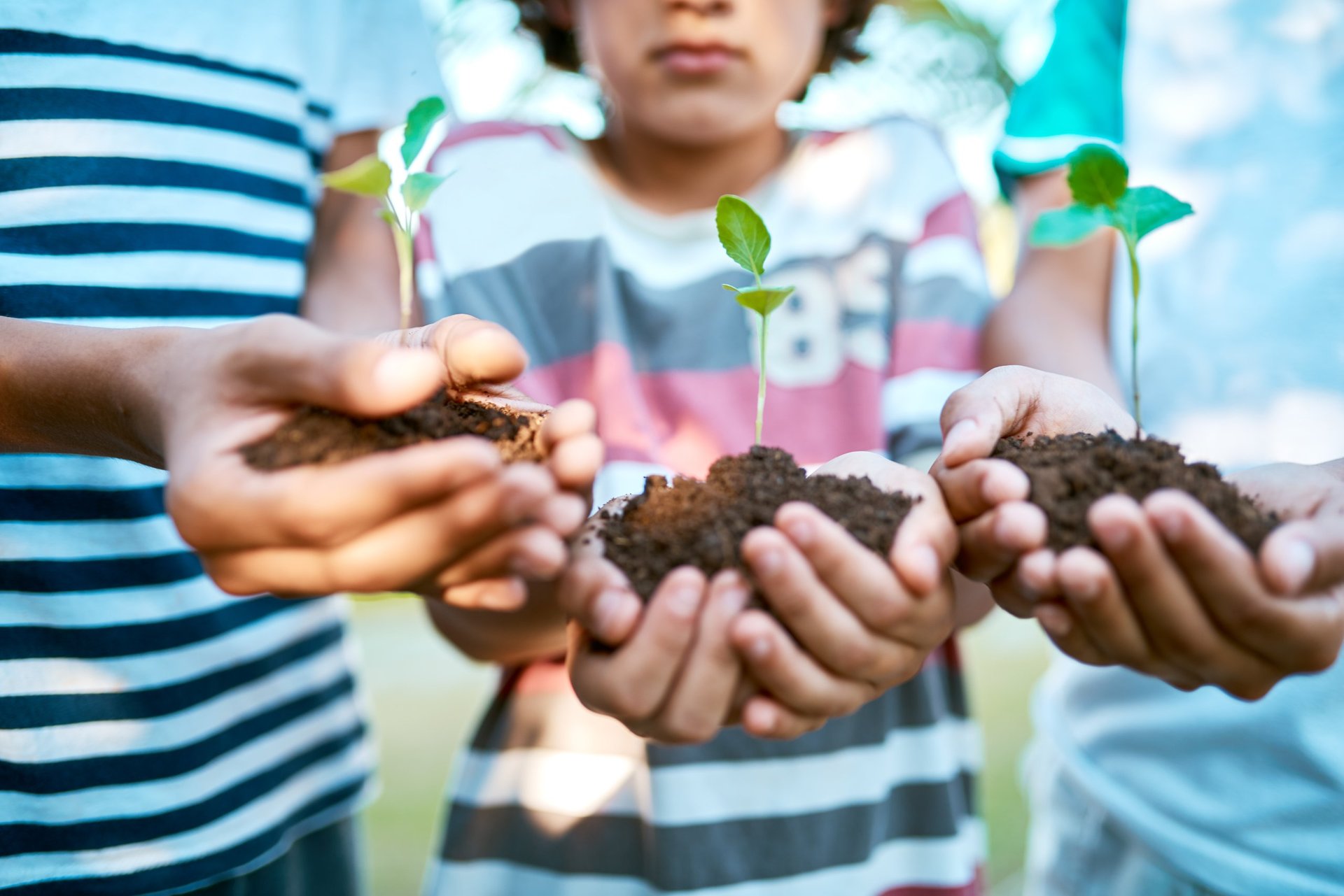 Kids holding budding plants