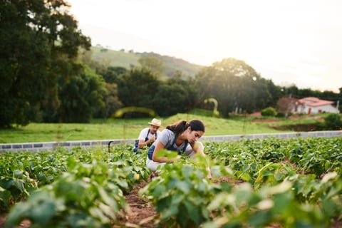 Shot of an attractive young woman working on the family farm with her husband in the background