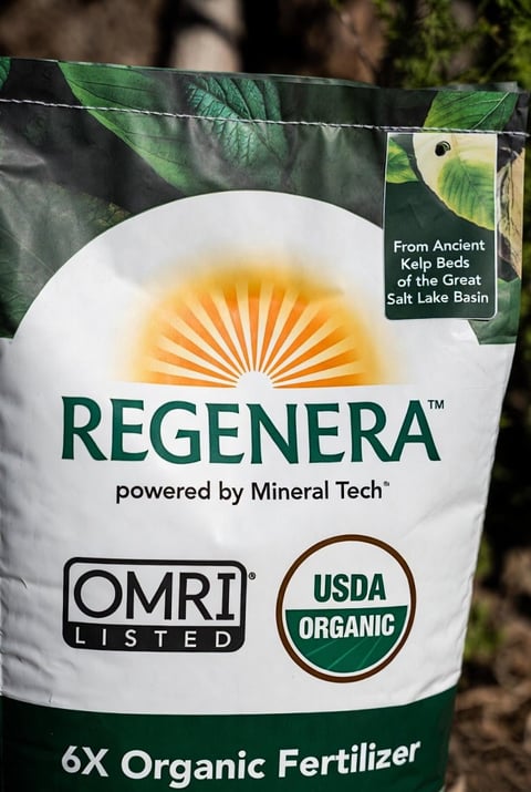 6X Organic Fertilizer